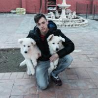 Little Swiss Kingdom (@littleswissking) 's Twitter Profile