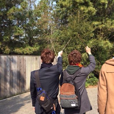 じん
