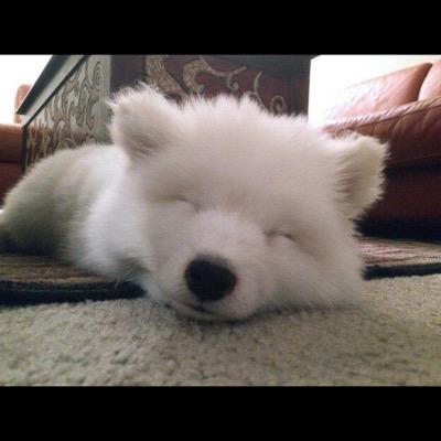 _wilsonlim's profile picture. 