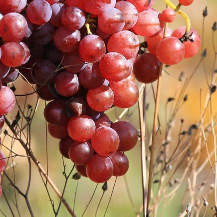 academicprojec's profile picture. 