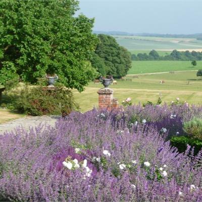 Burloes Hall is the most romantic and beautiful setting for wedding receptions and parties. The views are stunning and the gardens a delight!