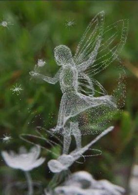 deirdrekel21's profile picture. 