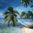 maurice_ile's profile image