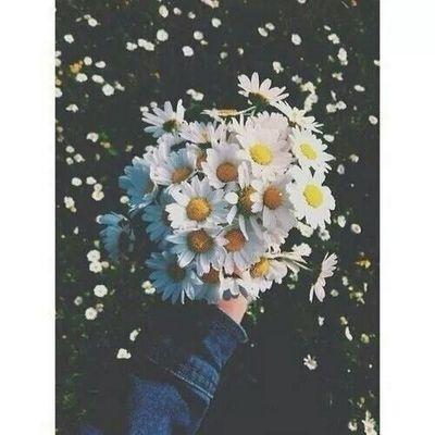 بين الخير والخير مسافه تسمى الابتلاء مليئه بالاجر لمن يصبر ويحتسب ف الحمدلله❤