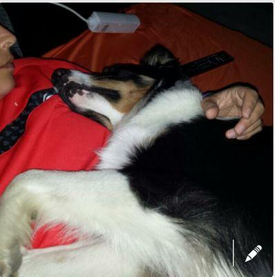 XSARA13's profile picture. TSID♑tengo a mi fiel compañer@, siempre junto a mi..OS AMO Rooney✝️Gala✝️. Roma✝️&Heda&Luna&Lexa SFC🔴⚪