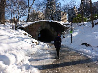 a_luz_s's profile picture. 