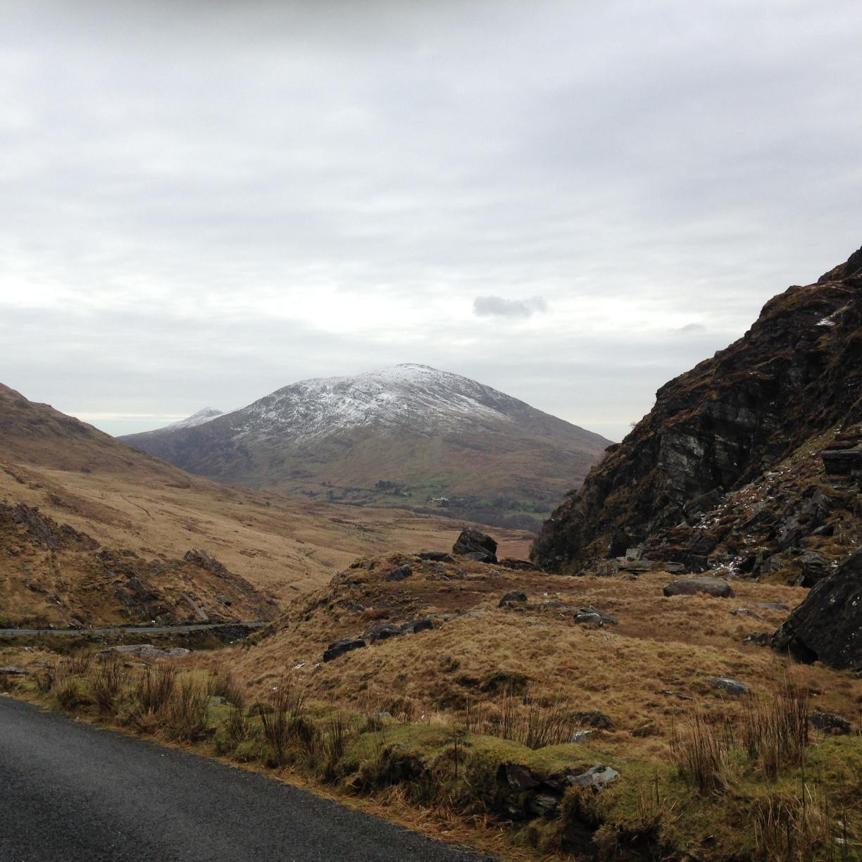 kerry_life's profile picture. 