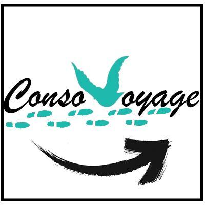 3 étudiantes en com réalisent une veille sur les acteurs de la #consocollab et notamment le #voyage et ses acteurs principaux @ouishare @Airbnb @couchsurfing