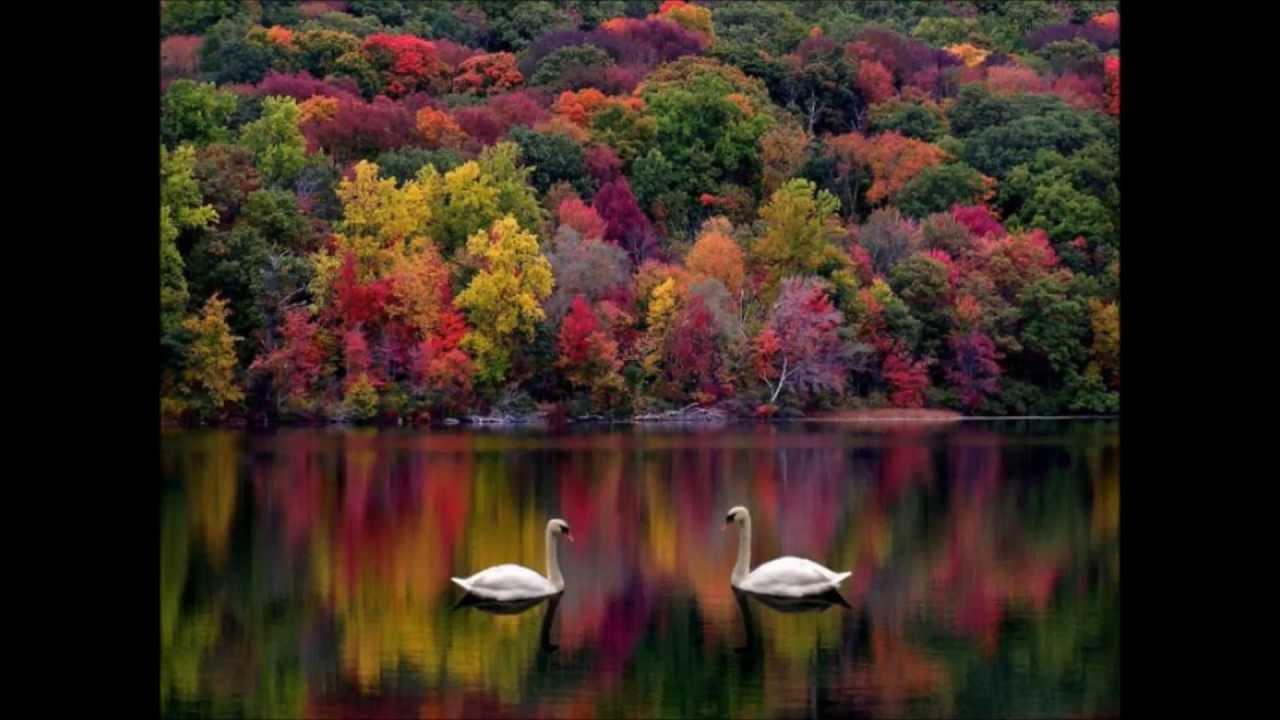 aggelikimara61's profile picture. 