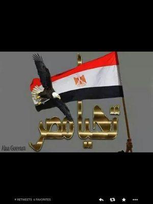نفسى اموت شهيد