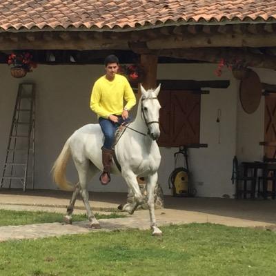 greglondonov's profile picture. 