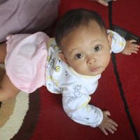 budiman mohammad (@budiman_mn) 's Twitter Profile