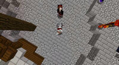-Owner of DCR Network

-Professional Minecraft builder

-Business Skype : jessegm14
