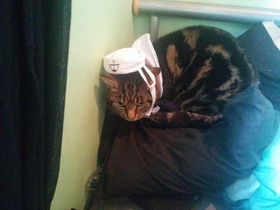 amonet87's profile picture. Gamer, historian,  food lover and cat mad lady.