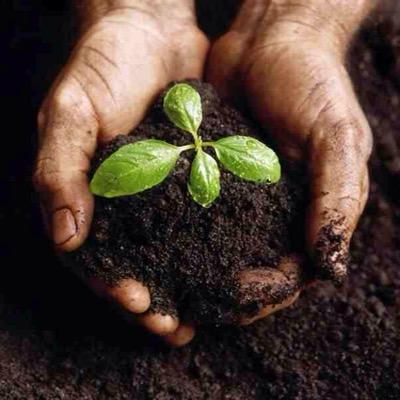 Hfcomposting's profile picture. 