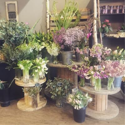 GrowerGP's profile picture. We are a local floral & Gift store. Great selection of modern inspiring pieces. Something here for everyone.