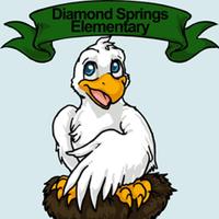 Diamond Springs(@dspringses) 's Twitter Profile Photo