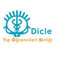 DİCLE TÖB (@dicletob) Twitter profile photo