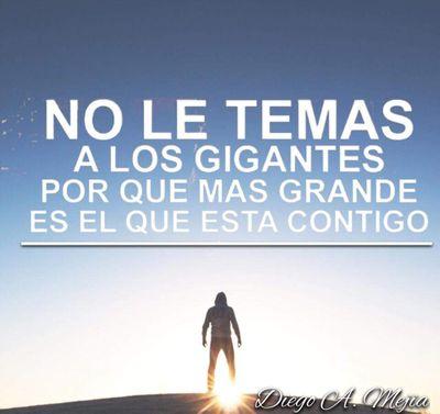 No robes, no mientas, no te hagas p... /, trabaja disciplinadamente!!!  X un México (Sin corrupción, sin burocratismo, sin prepotencia, sin abuso de autoridad)
