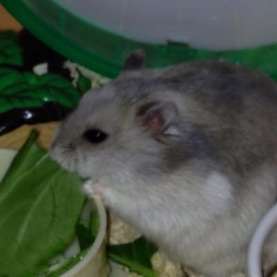 （≧∇≦）料理は好きです作るのはちょっと苦手だけど動物はすごく大好きです