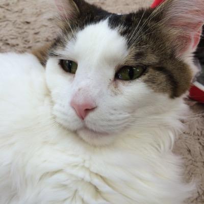 このアカウントは現在使われておりません。
フォロワー様はブロックをお願いいたします。
ツイッターで絡んで下さった皆さま長らくありがとうございました。さようなら。
