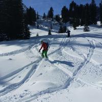 Marienke (@mvanmiddelkoop) 's Twitter Profile