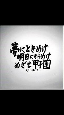 使ってません