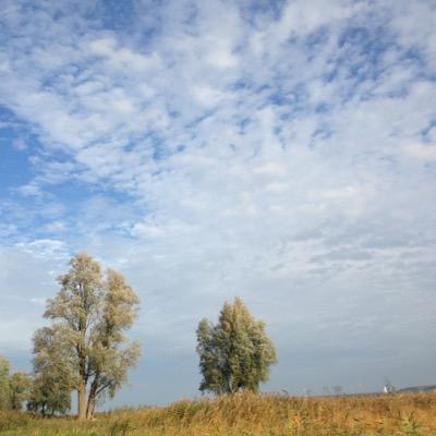 schuilplaats1's profile picture. 