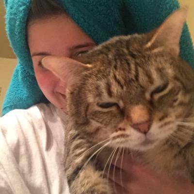 MEOWIN IN DA 405
