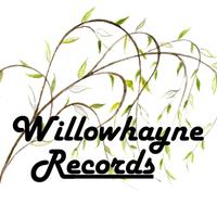 Willowhayne Records (@willowhaynerecs) 's Twitter Profile