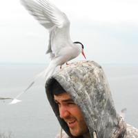 Brian Burke (@bburke88) 's Twitter Profile Photo
