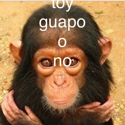 Juanped88670429's profile picture. 