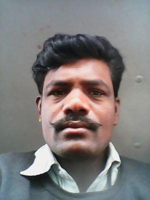 as74766's profile picture. indian