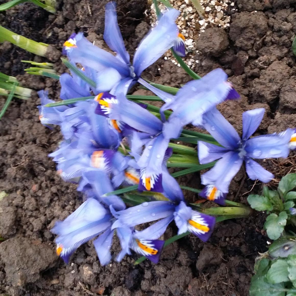 antisounds's profile picture. 