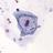 APyCitologia's profile image