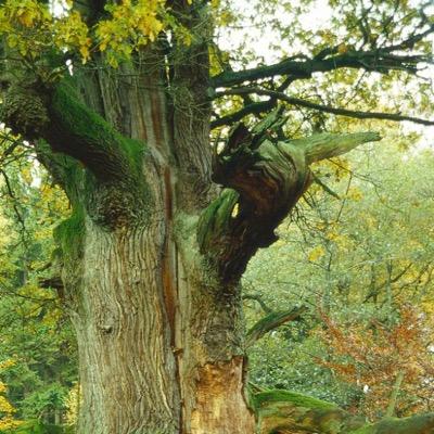 led343_k's profile picture. 