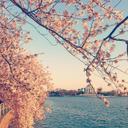 Ann Thornton - @Ann_Thornton - Twitter