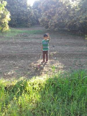 umang