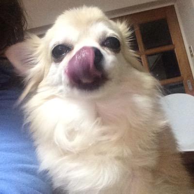 qxvf5RGPSsI37Sg's profile picture. 愛媛県松山から色んな話題をお届けします〜