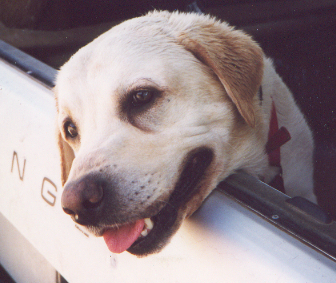 andrewmyerson's profile picture. Solicitor