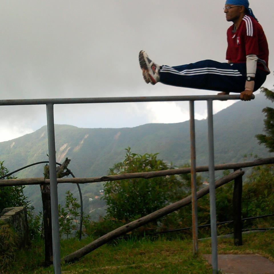 idealista, ecologista