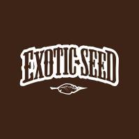 Exotic Seed(@exoticseed) 's Twitter Profileg