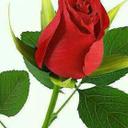 053 800 8718 (@053_800) Twitter