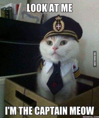 Captain obvious