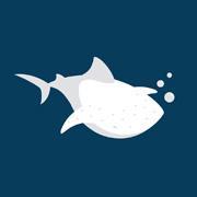 WhlShrkStudio's profile picture. We are a group of eighteen creative individuals from Serbia and we are experts in 2D/3D Animation, Illustrations, Graphic Design, Web Design, UI/UX and Games