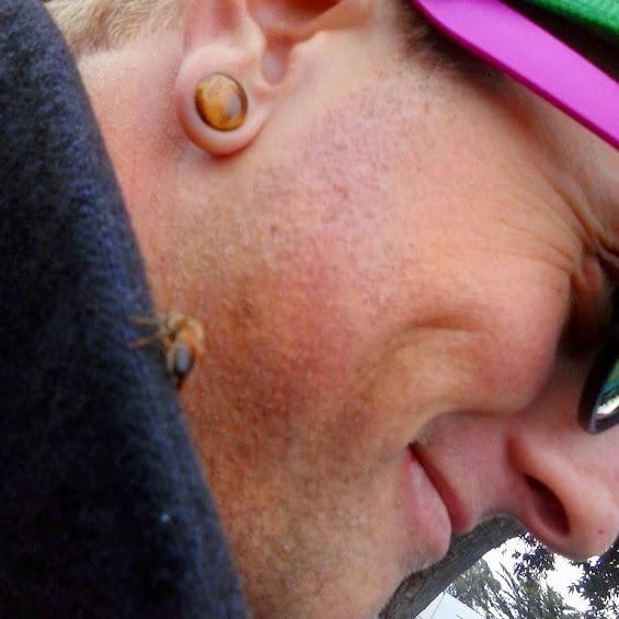 ColynsHP_EDU's profile picture. Budding Composer, And Health coach/personal trainer. Hopping to make a difference in the world by being of service to any one, and every one, at all times.