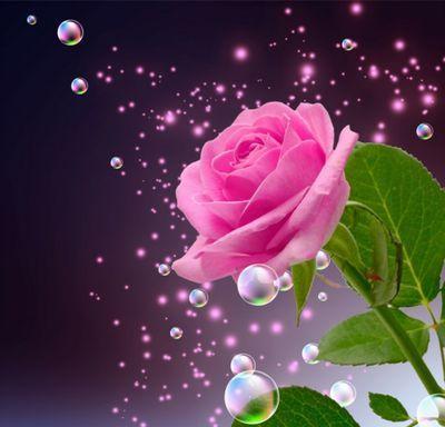 ‏سبحان الله وبحمده سبحان الله العظيم