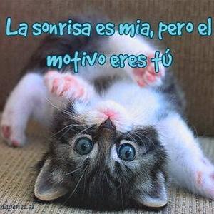 isagarita's profile picture. 