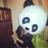 yummiwasabi's profile image