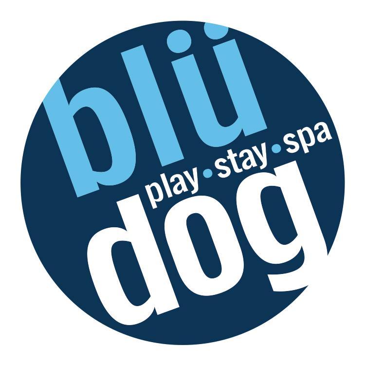 blü dog play stay spa is the newest doggy daycare, boarding, and grooming facility in Chicago's South Loop!! Opening early Fall 2015...this time for real!!!